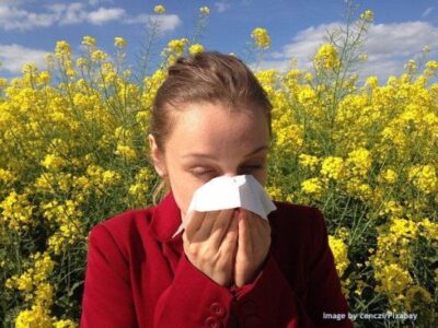 Pollen’s Perils and Promises: What Allergens and Flower Essence Teach Us During Pandemics Image